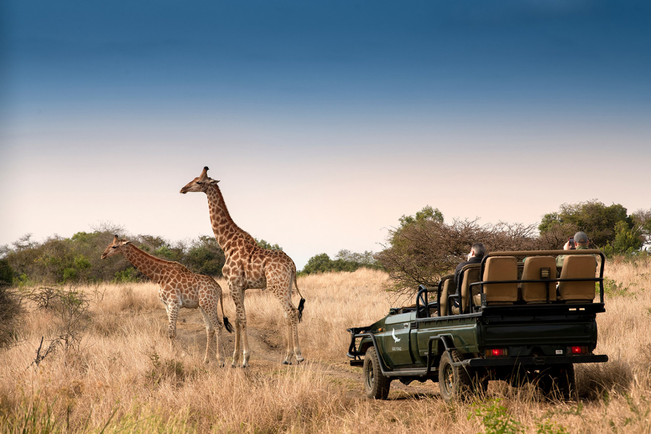 Pacote safari luxo na Africa do Sul